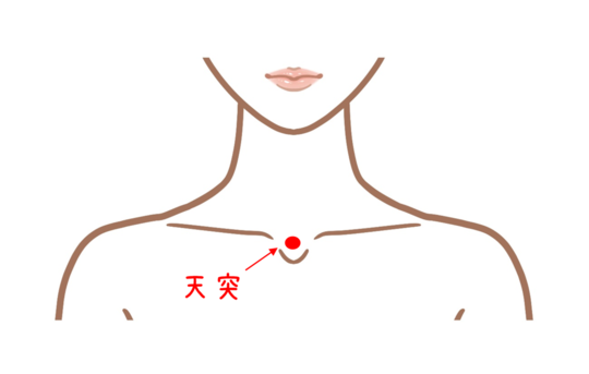 天突　イラスト