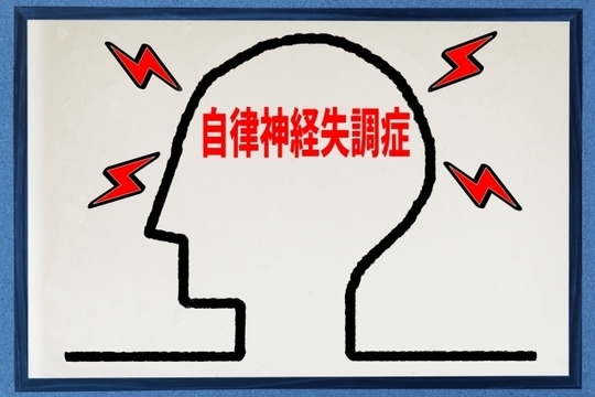 はりの種類