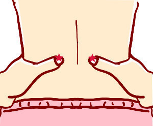 腎兪のイラスト