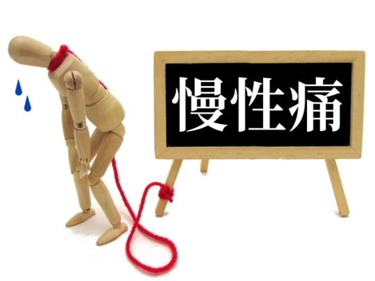 はりの種類