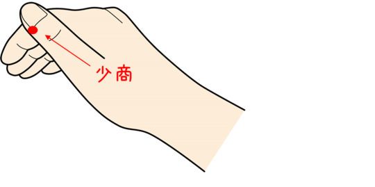 少商　イラスト